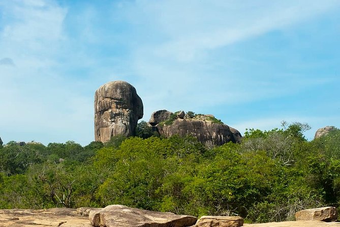 1 Day Tour to Yala National Park or Udawalawe National Park - Reviews and Ratings