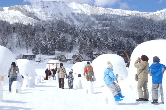 1 Day Tour Traditional Igloo Kamakura Festival and Snow Fun - Booking Information
