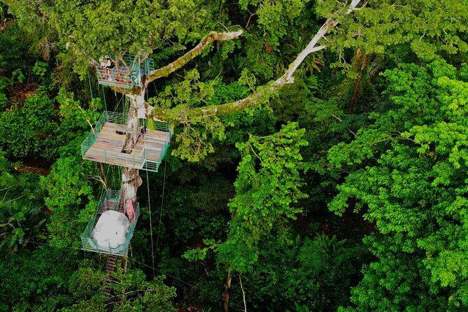 1 Day Tree Climbing and Rappelling Experience With Accommodation - Key Points