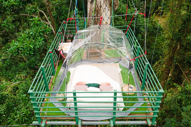 1 Day Tree Climbing and Rappelling Experience With Accommodation - Sleeping Under the Stars