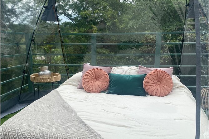 1 Day Tree Climbing and Rappelling Experience With Accommodation - Ascending to the Second Platform