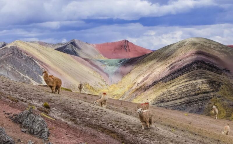 1 Day Trek to Palccoyo Rainbow Mountain - Inclusions and Exclusions