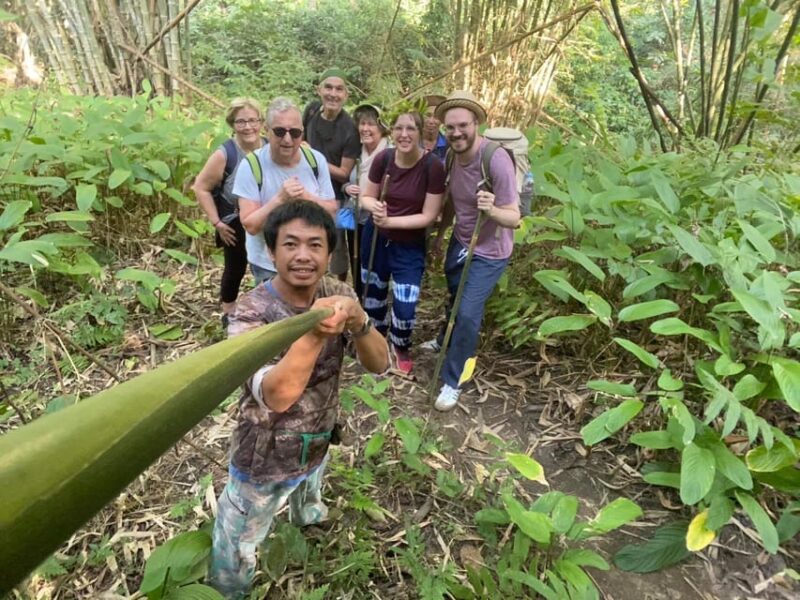 1 Day Trekking : Chiang Rai Popular Activity,Fun in Nature. - Itinerary and Experience
