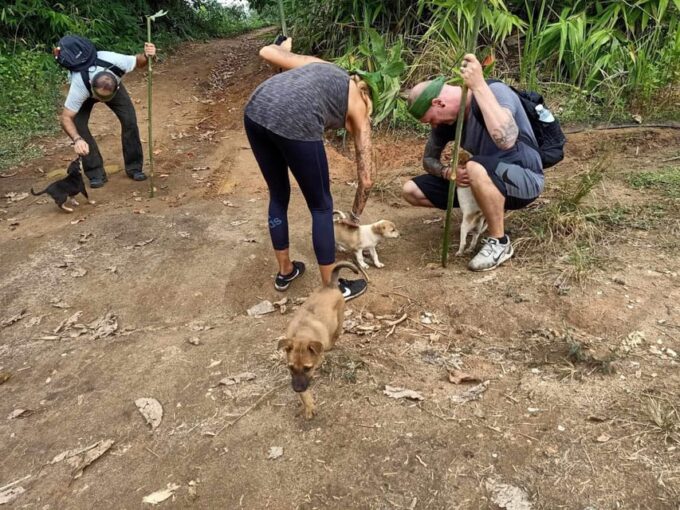 1 Day Trekking : Chiang Rai Popular Activity,Fun in Nature. - Explore Hill Tribe Villages