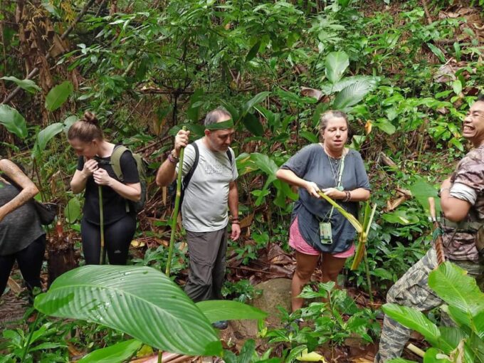 1 Day Trekking : Chiang Rai Popular Activity,Fun in Nature. - Visit Huay Kaew Waterfall