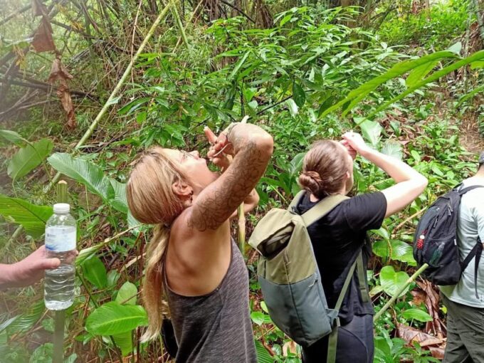 1 Day Trekking : Chiang Rai Popular Activity,Fun in Nature. - Frequently Asked Questions
