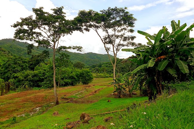 1 Day Trekking Group Tour With Bamboo Cooking / Chiang Rai - Participant Feedback