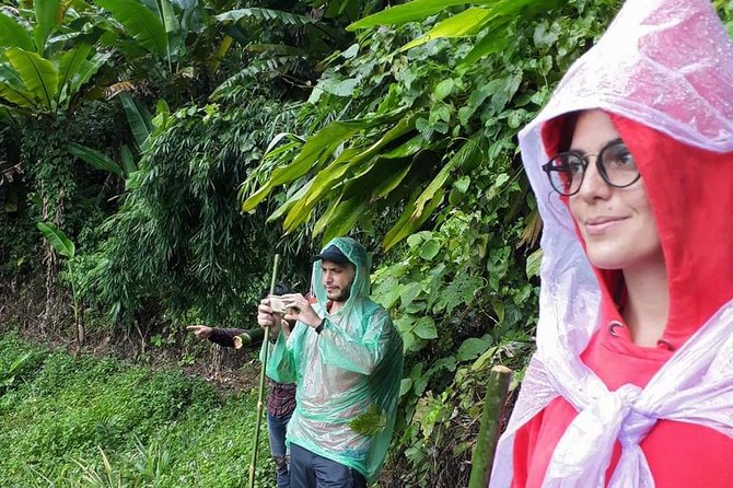 1 Day Trekking Group Tour With Bamboo Cooking / Chiang Rai - Dining Experience