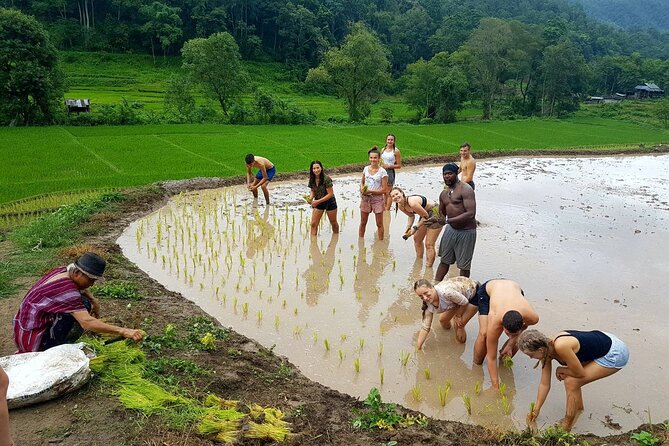 1 Day Trekking in Chiang Mai - Tour Schedule and Itinerary