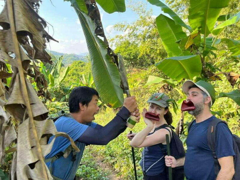 1 Day Trekking in Chiang Rai forest (walk only) - Key Points