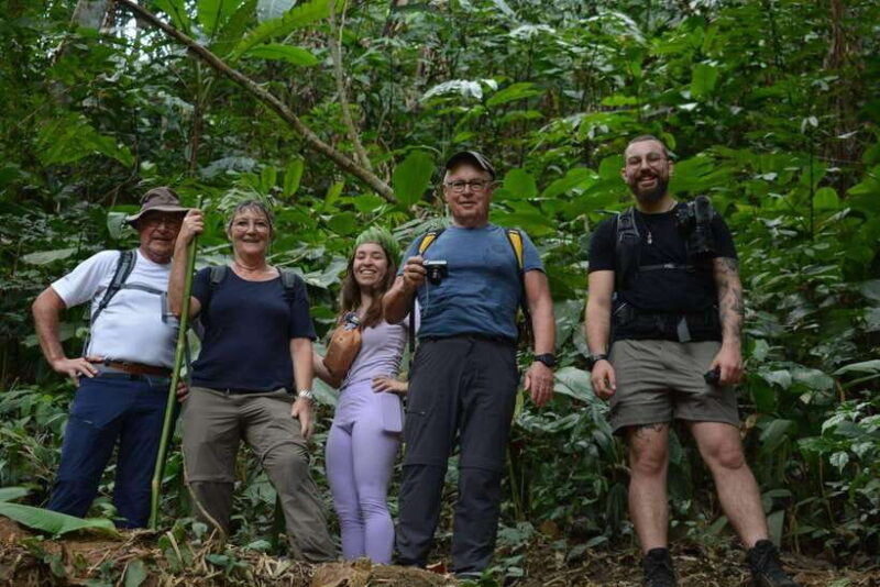 1 Day Trekking in Chiang Rai Forest (Walk Only) - Key Points