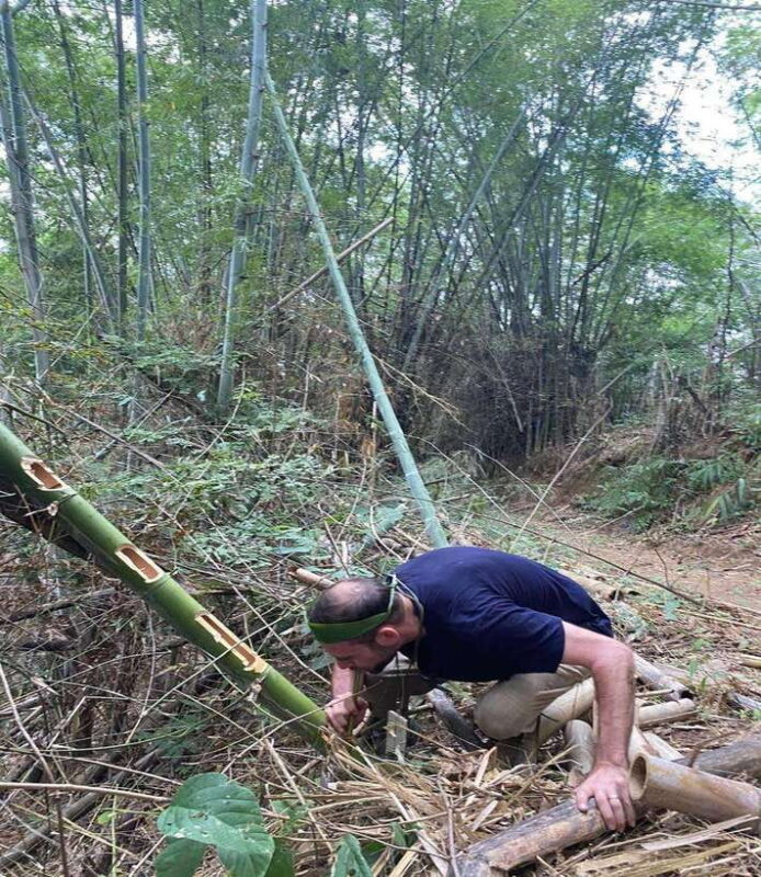 1 Day Trekking in Chiang Rai Forest (Walk Only) - Nature Activities