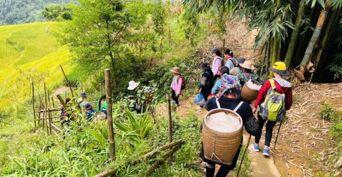1-Day Trekking in Sa Pa From Ha Noi - Cultural Immersion