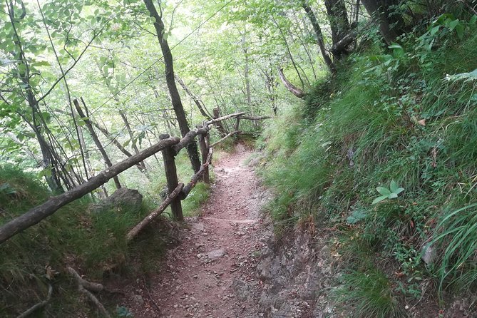 1 Day Trekking - The Path of the Wanderer: BELLANO. VARENNA - Lunch Options