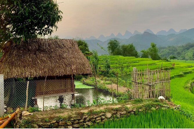1 Day Trekking Tour in Ha Giang With Local Experts - Schedule and Availability