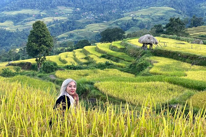 1 Day Trekking Tour in Ha Giang With Local Experts - Booking and Inquiries