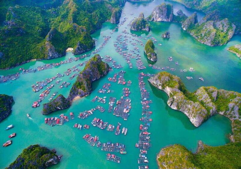 1 Day Trekking,Biking Explore Cat Ba National Park, Viet Hai - Included Services