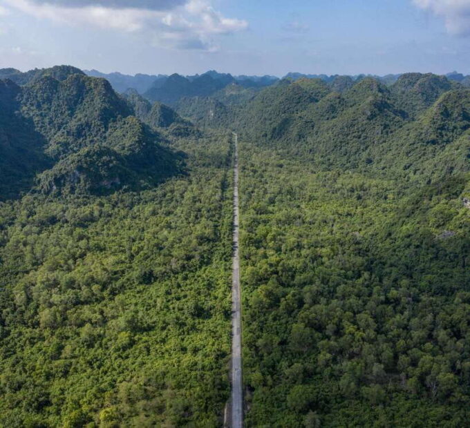1 Day Trekking,Biking Explore Cat Ba National Park, Viet Hai - Since You Asked
