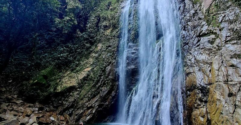 1-Day Trip From Medellín: Paragliding & Swim in Waterfall - Paragliding Adventure