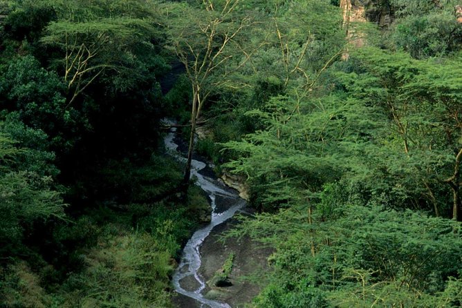 1 Day Trip to Hells Gate and Lake Naivasha From Nairobi - Guided Boat Tour of Lake Naivasha