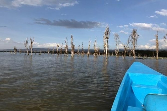 1 Day Trip to Hells Gate and Lake Naivasha From Nairobi - Confirmation and Accessibility Information