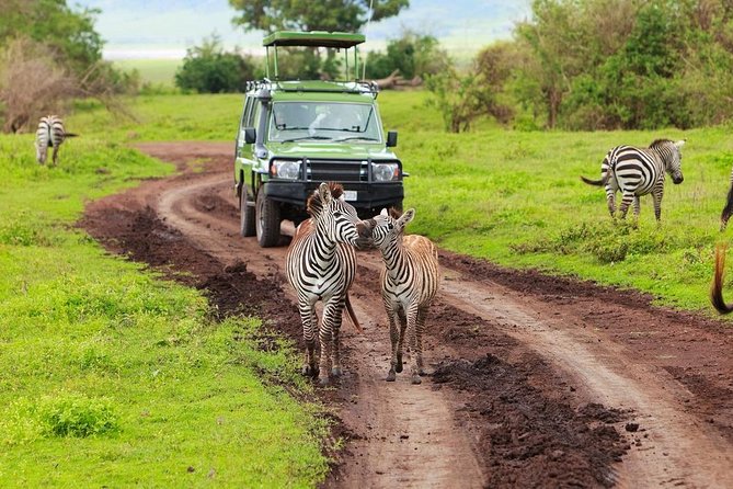 1 Day Trip to Ngorongoro Crater - Group Joining Tour - Exclusions
