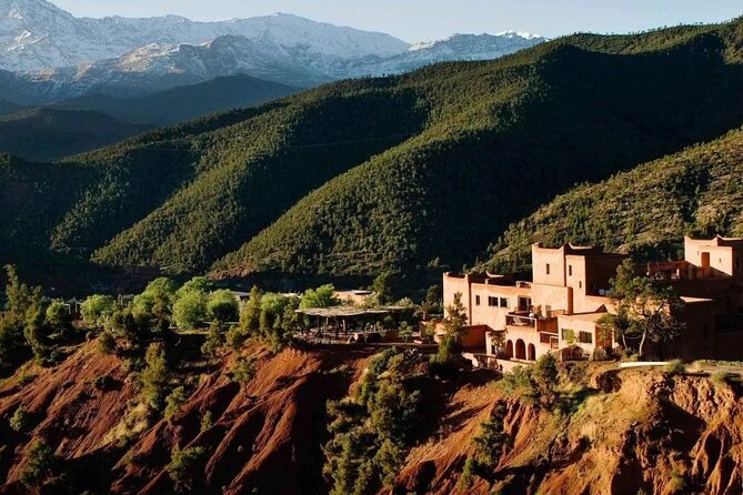 1-Day Trip To Ouzoud Falls From Marrakech - Ratings and Reviews