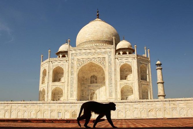 1-Day Trip to the Taj Mahal, Agra With Fatehpur Sikri From Jaipur - Taj Mahal: A Timeless Wonder