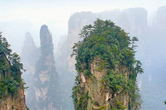 1 Day Trip to Zhangjiajie National Forest Park & Avatar Mountain - Tour Inclusions