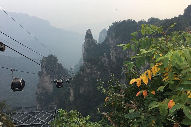 1 Day Trip to Zhangjiajie National Forest Park & Avatar Mountain - Booking Information