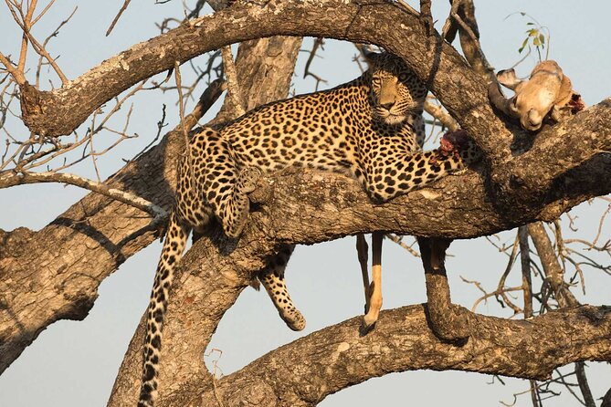 1 Day Tsavo East Safari ( Minimum 2 Pax) - Pickup and Meeting Points