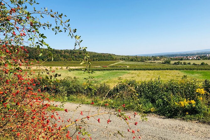 1 Day UNESCO Private Wine Experience in Kutna Hora - Tour Inclusions