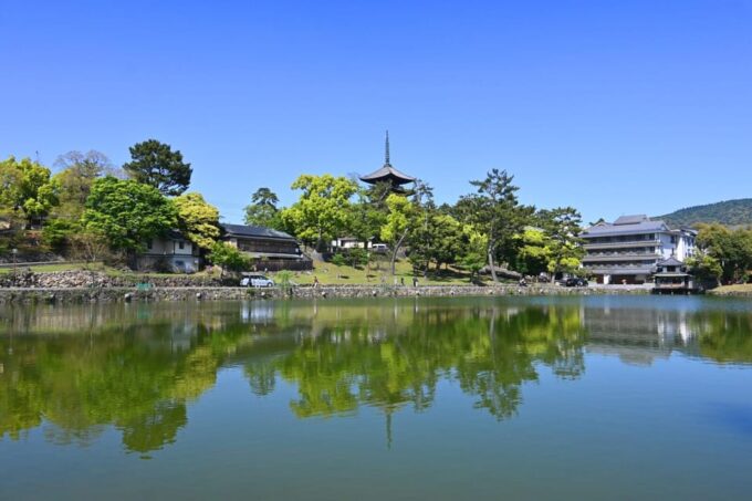 1-Day Walking Tour in Nara: Palace, Deer and Inkstick - Frequently Asked Questions