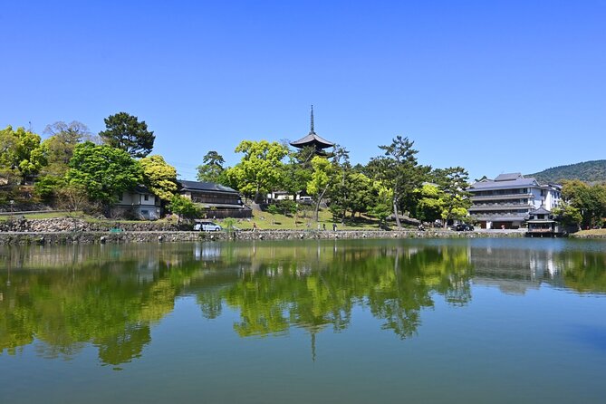1 Day Walking Tour in Nara Palace Deer and Inkstick - Start Time