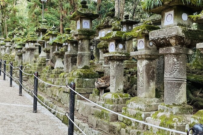 1 Day Walking Tour in Nara Palace Deer and Inkstick - Transportation