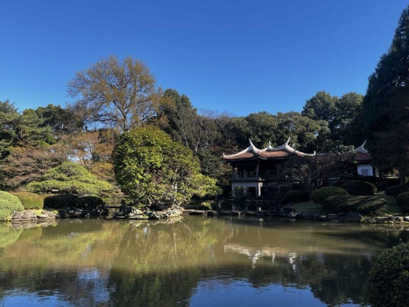 1 Day Walking Tour in Shinjuku and Shibuya: The Best of Both - Meiji Shrine and Spiritual Serenity