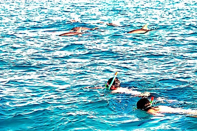 1 Day Wasini Island ( Kisite Marine Park) - Lunch and Refreshments