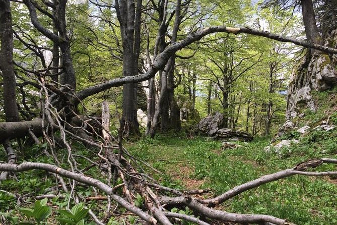 1 Day White Rocks Wilderness - Vihoraski Trail Hike From Zagreb - About the Vihoraski Trail