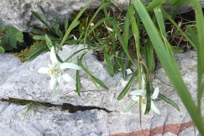 1 Day White Rocks Wilderness - Vihoraski Trail Hike From Zagreb - Highlights of the Hike