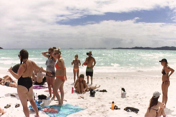 1-Day Whitsunday Islands Cruise: Whitehaven Beach and Hill Inlet - Experience Details