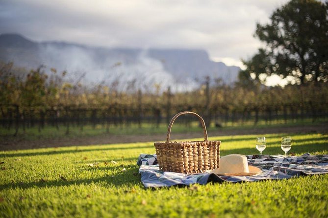 1 Day Winelands Explore - Cape Wine Region With Private Transfer - Inclusions