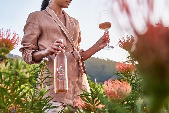 1 Day Winelands Explore - Cape Wine Region With Private Transfer - Cancellation Policy