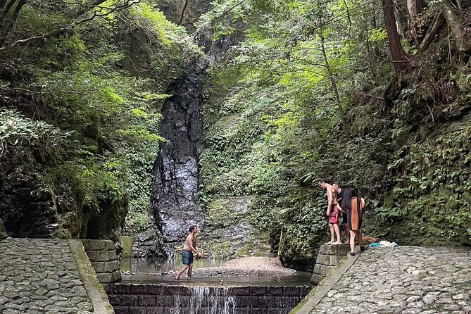 1 Day Yoshino Tour Get Out to the Cool of the Countryside - Indulge in a Delectable Japanese Feast