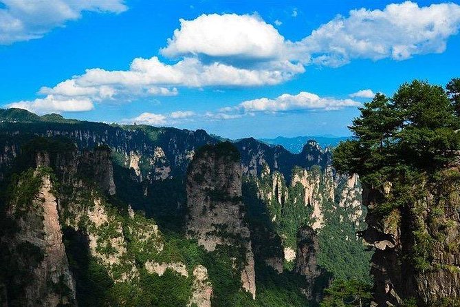1 Day Zhangjiajie National Forest Park Tour With AVATAR Mountain - Ascend Tianzi Mountain