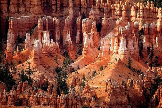 1-Day Zion & Bryce Canyon National Park Bus Tour - Pickup Information