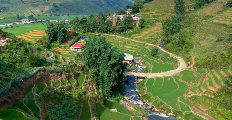 1 DAYS Trekking in Sa Pa - Path B: Sapa Center - Big Tree Hmong Homestay