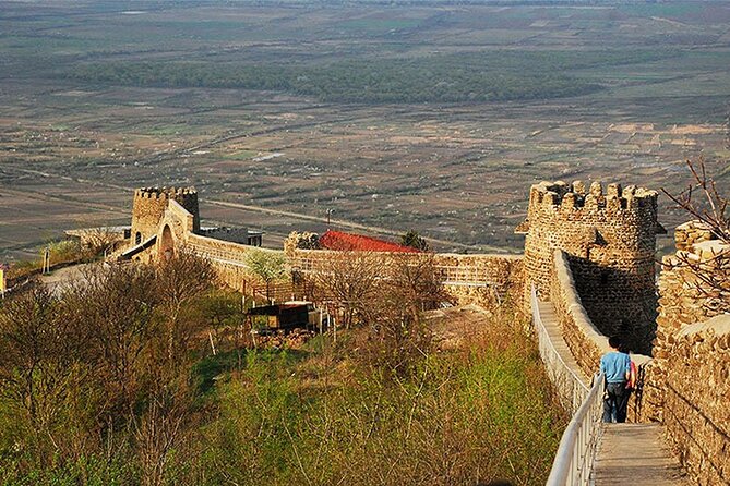 1 Full Day Kakheti Private Tour - Inclusions and Logistics
