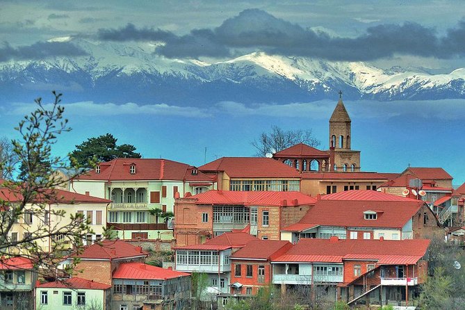 1 Full Day Kakheti Private Tour - Start Time and Accessibility
