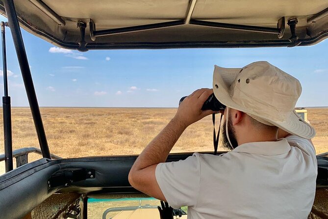 1 Full Day Trip to Tarangire National Park From Arusha City - Stress-free Transportation and Guided Tour