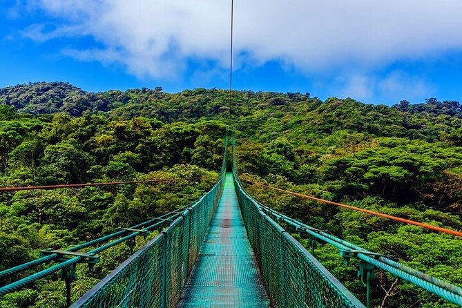 1 Full Private Tour to Arenal Volcano + Baldi Hot Springs - Arenal Volcano Highlights